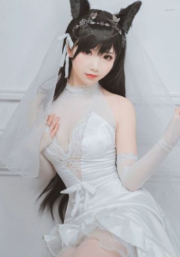 打开番茄视频